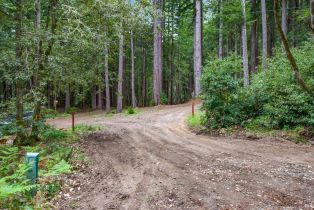 Residential Lot,  Timber Cove road, Jenner, CA 95450 - 34