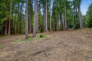 Residential Lot,  Timber Cove road, Jenner, CA 95450 - 23