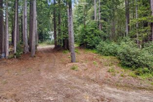 Residential Lot,  Timber Cove road, Jenner, CA 95450 - 7