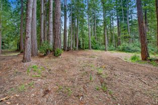 Residential Lot,  Timber Cove road, Jenner, CA 95450 - 22