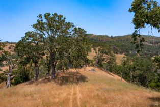 Residential Acreage,  Porter Creek road, Santa Rosa, CA 95404 - 12