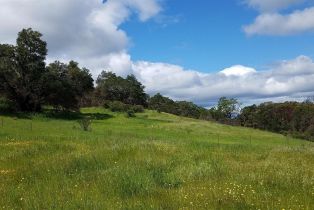 Residential Acreage,  Porter Creek road, Santa Rosa, CA 95404 - 3