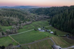 Single Family Residence,  Martinelli road, Russian River, CA 95436 - 56