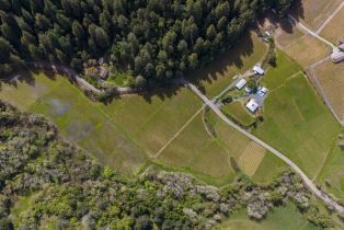 Single Family Residence,  Martinelli road, Russian River, CA 95436 - 52