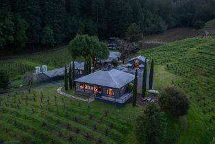 Single Family Residence,  Martinelli road, Russian River, CA 95436 - 53
