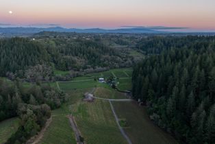 Single Family Residence,  Martinelli road, Russian River, CA 95436 - 57