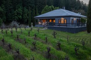 Single Family Residence,  Martinelli road, Russian River, CA 95436 - 54