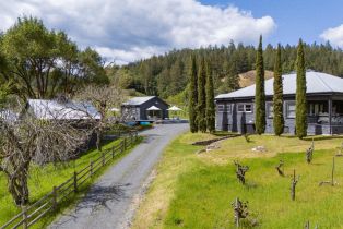 Single Family Residence,  Martinelli road, Russian River, CA 95436 - 3