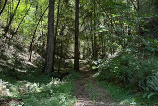 Single Family Residence,  Martinelli road, Russian River, CA 95436 - 56