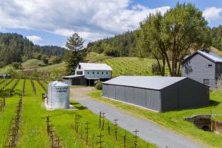 Single Family Residence,  Martinelli road, Russian River, CA 95436 - 54