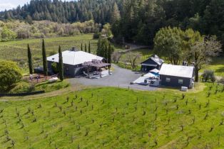 Single Family Residence,  Martinelli road, Russian River, CA 95436 - 55