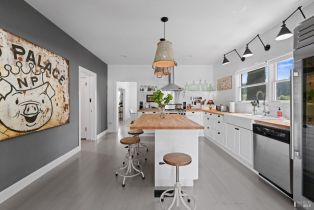 Single Family Residence,  Martinelli road, Russian River, CA 95436 - 7