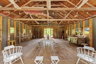 Single Family Residence,  Martinelli road, Russian River, CA 95436 - 41