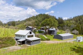 Single Family Residence,  Martinelli road, Russian River, CA 95436 - 50