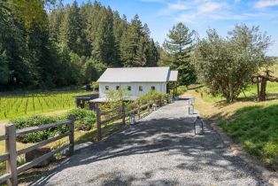 Single Family Residence,  Martinelli road, Russian River, CA 95436 - 38