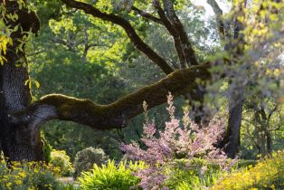 Single Family Residence,  Arnold drive, Glen Ellen, CA 95442 - 34