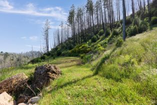 Residential Lot,  los alamos road, Santa Rosa, CA 95409 - 16