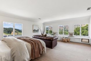 Single Family Residence,  Silverado trail, Napa, CA 94558 - 66