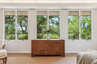 Single Family Residence,  Silverado trail, Napa, CA 94558 - 59