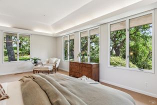 Single Family Residence,  Silverado trail, Napa, CA 94558 - 60