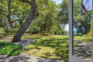 Single Family Residence,  Silverado trail, Napa, CA 94558 - 53