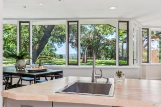 Single Family Residence,  Silverado trail, Napa, CA 94558 - 46