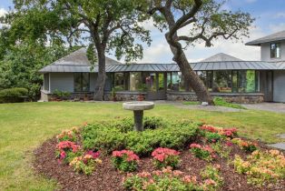 Single Family Residence,  Silverado trail, Napa, CA 94558 - 89