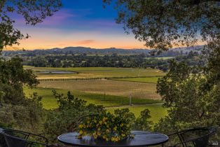 Single Family Residence,  Silverado trail, Napa, CA 94558 - 91