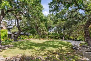 Single Family Residence,  Silverado trail, Napa, CA 94558 - 56