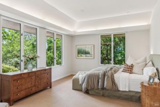 Single Family Residence,  Silverado trail, Napa, CA 94558 - 57