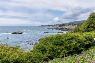 Single Family Residence, Hedgerow Close none, Sea Ranch, CA 95497 - 8