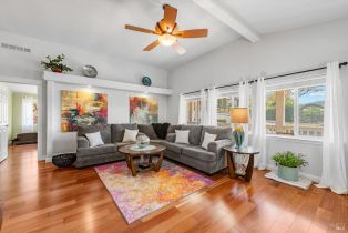 Single Family Residence,  Steele Canyon road, Napa, CA 94558 - 19