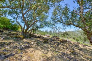 Residential Lot,  Deer Trail road, Santa Rosa, CA 95404 - 12