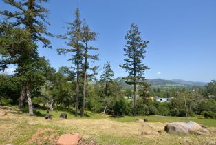 Residential Lot,  Deer Trail road, Santa Rosa, CA 95404 - 11