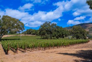 Single Family Residence, 3rd avenue, Napa, CA 94558 - 28