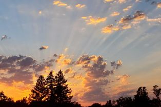 Single Family Residence, 3rd avenue, Napa, CA 94558 - 17