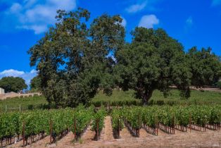 Single Family Residence, 3rd avenue, Napa, CA 94558 - 19