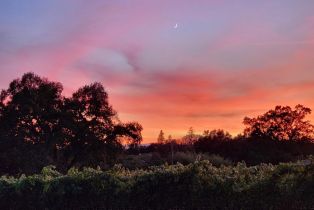 Single Family Residence, 3rd avenue, Napa, CA 94558 - 30