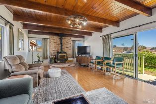 Single Family Residence,  Lakeville highway, Petaluma, CA 94954 - 23