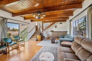 Single Family Residence,  Lakeville highway, Petaluma, CA 94954 - 28