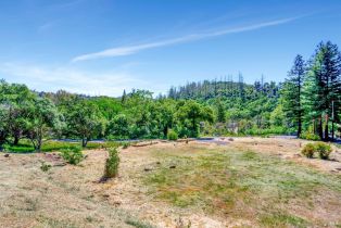 Residential Lot,  Wildwood trail, Santa Rosa, CA 95409 - 20