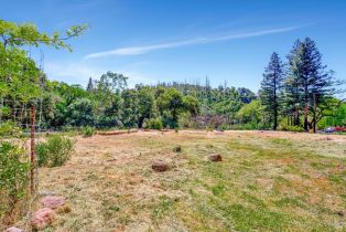 Residential Lot,  Wildwood trail, Santa Rosa, CA 95409 - 18