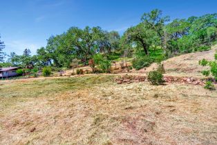 Residential Lot,  Wildwood trail, Santa Rosa, CA 95409 - 13