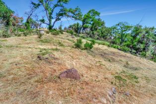 Residential Lot,  Wildwood trail, Santa Rosa, CA 95409 - 21