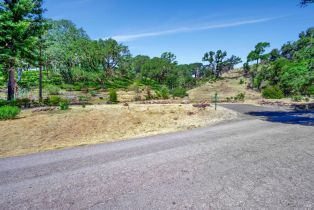Residential Lot,  Wildwood trail, Santa Rosa, CA 95409 - 35