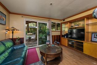 Single Family Residence, Wildwood lane, Russian River, CA 95421 - 38