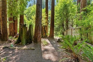 Single Family Residence, Wildwood lane, Russian River, CA 95421 - 33