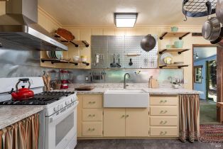 Single Family Residence, Wildwood lane, Russian River, CA 95421 - 8