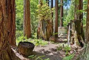 Single Family Residence, Wildwood lane, Russian River, CA 95421 - 45