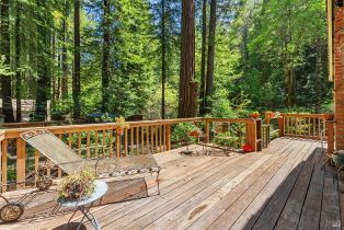 Single Family Residence, Wildwood lane, Russian River, CA 95421 - 3